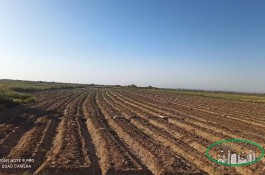 زمین کشاورزی - 10 هزار متر - عسگرآباد ورامین