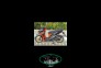 موتور سیکلت های کلیک کویر ۱۵۰ S2 